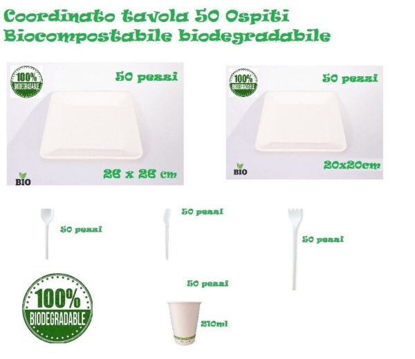 Kit Festa 2 Coordinato Tavola 50 ospiti Biodegradabile compostabile