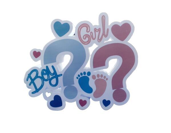 SAGOMA IN POLISTIROLO BOY O GIRL?  GENDER REVEAL MODELLO A SCELTA - immagine 2