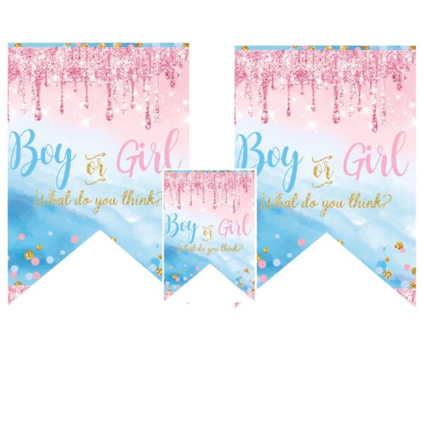 Festone Sagomato Gender Reveal