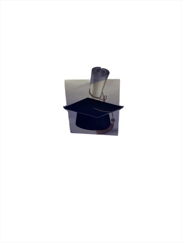 10 Scatole  portaconfetti  Laurea Tocco